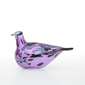 Birds Amethyst bird 0131