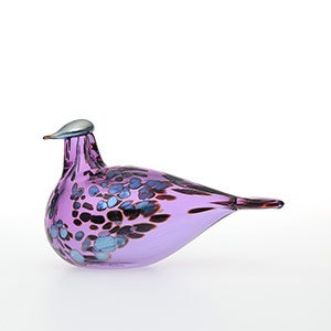 Birds Amethyst bird 0136