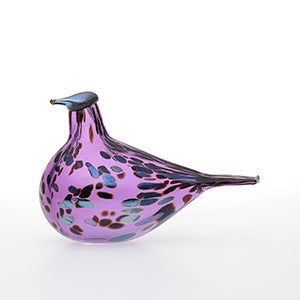Birds Amethyst bird 0139