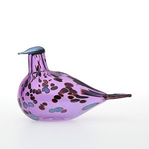 Birds Amethyst bird 0142
