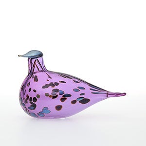 Birds Amethyst bird 0143
