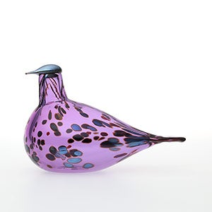 Birds Amethyst bird 0144