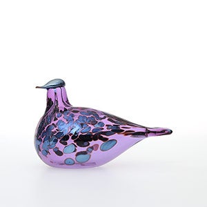 Birds Amethyst bird 0151