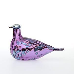 Birds Amethyst bird 0228