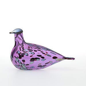 Birds Amethyst bird 0230