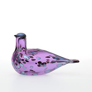 Birds Amethyst bird 0231