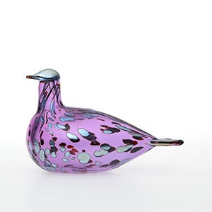 Birds Amethyst bird 0232