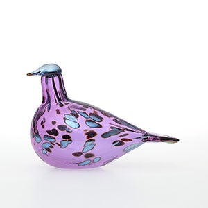 Birds Amethyst bird 0234