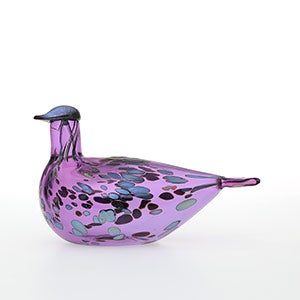 Birds Amethyst bird 0235