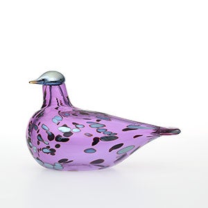 Birds Amethyst bird 0236