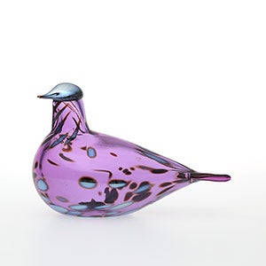 Birds Amethyst bird 0237