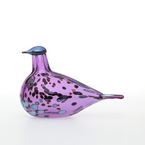Birds Amethyst bird 0239