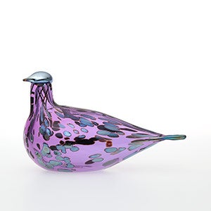 Birds Amethyst bird 0242