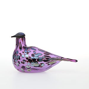 Birds Amethyst bird 0245