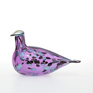 Birds Amethyst bird 0248