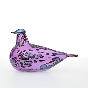 Birds Amethyst bird 0249