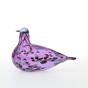 Birds Amethyst bird 0251