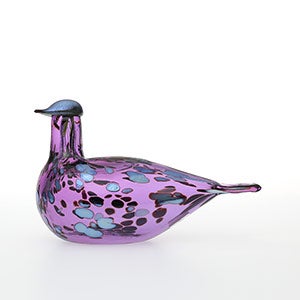 Birds Amethyst bird 0252