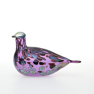 Birds Amethyst bird 0253