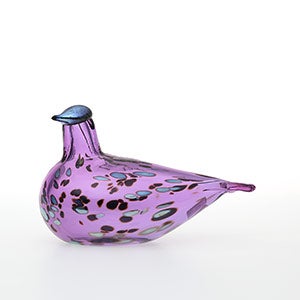 Birds Amethyst bird 0254