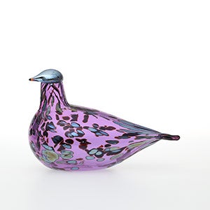 Birds Amethyst bird 0255