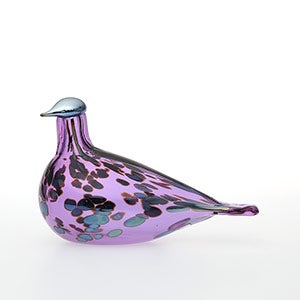 Birds Amethyst bird 0257
