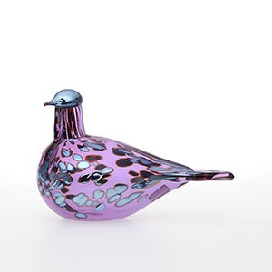 Birds Amethyst bird 0258