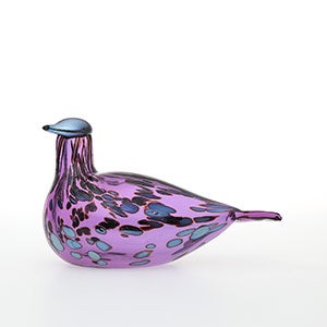 Birds Amethyst bird 0261