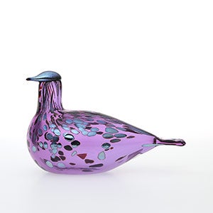 Birds Amethyst bird 0262