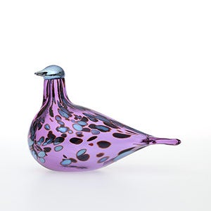 Birds Amethyst bird 0263