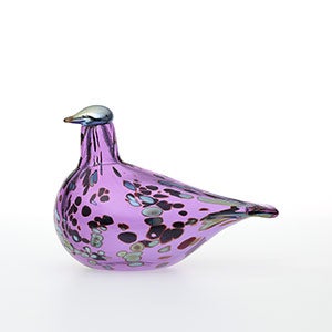 Birds Amethyst bird 0264