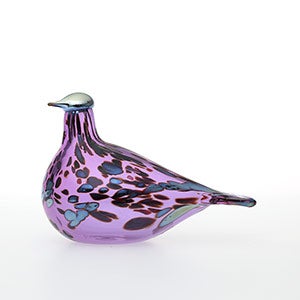 Birds Amethyst bird 0265