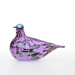 Birds Amethyst bird 0266
