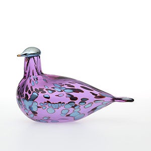 Birds Amethyst bird 0267