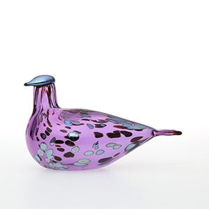 Birds Amethyst bird 0271
