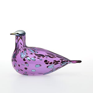 Birds Amethyst bird 0272