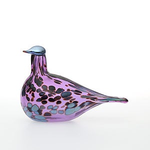 Birds Amethyst bird 0275