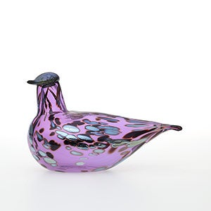 Birds Amethyst bird 0277