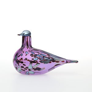 Birds Amethyst bird 0278