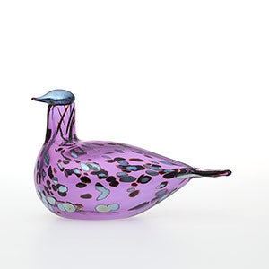 Birds Amethyst bird 0280