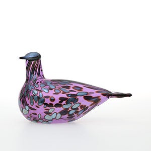 Birds Amethyst bird 0282