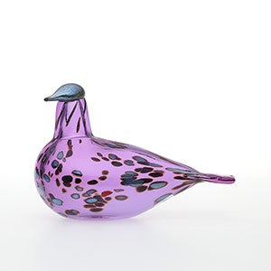 Birds Amethyst bird 0285