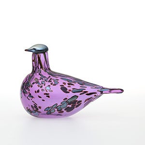 Birds Amethyst bird 0286