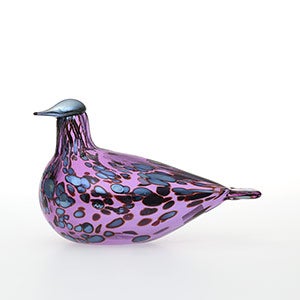 Birds Amethyst bird 0287
