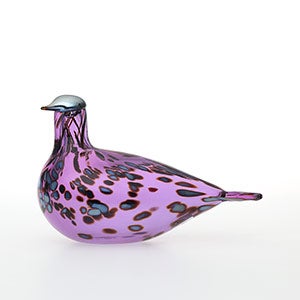 Birds Amethyst bird 0288
