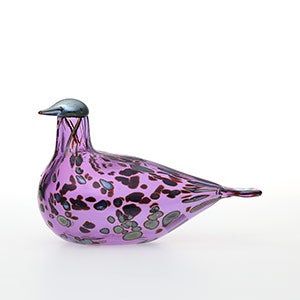 Birds Amethyst bird 0290