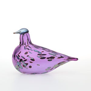 Birds Amethyst bird 0291
