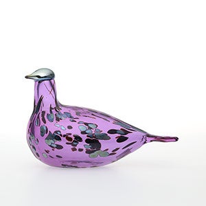 Birds Amethyst bird 0292