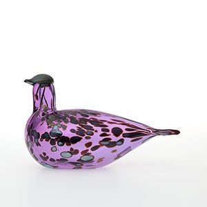 Birds Amethyst bird 0294