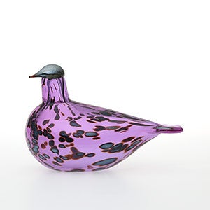 Birds Amethyst bird 0298